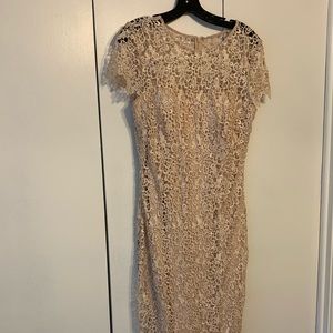 Champagne lace knee length dress.